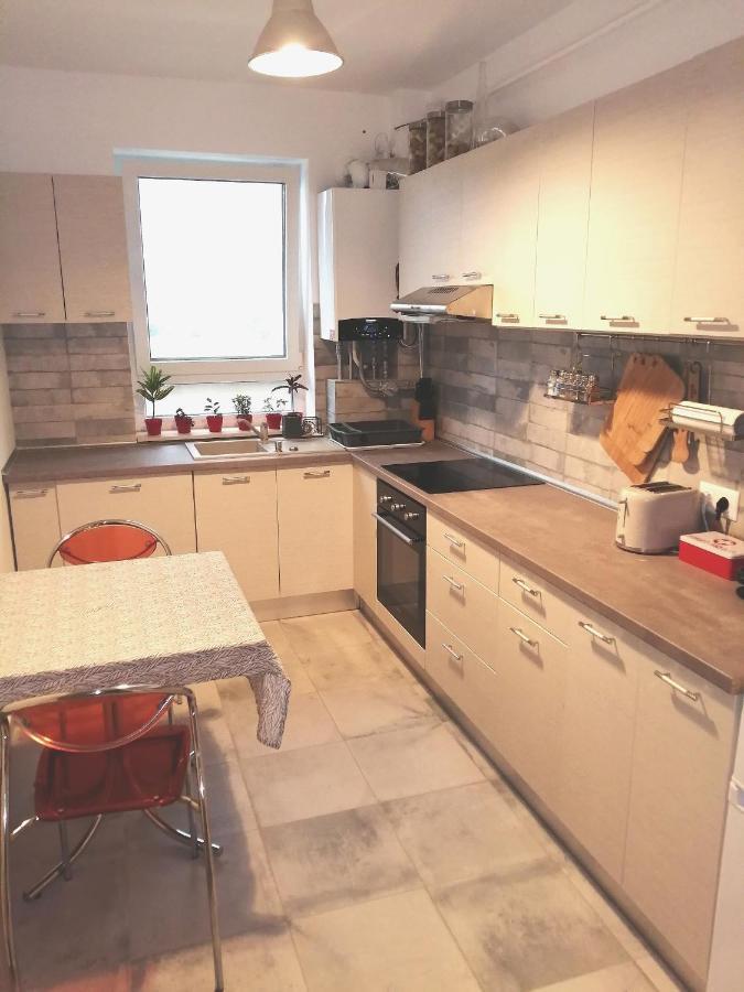 Maurer Loft Daire Târgu-Mureş Dış mekan fotoğraf
