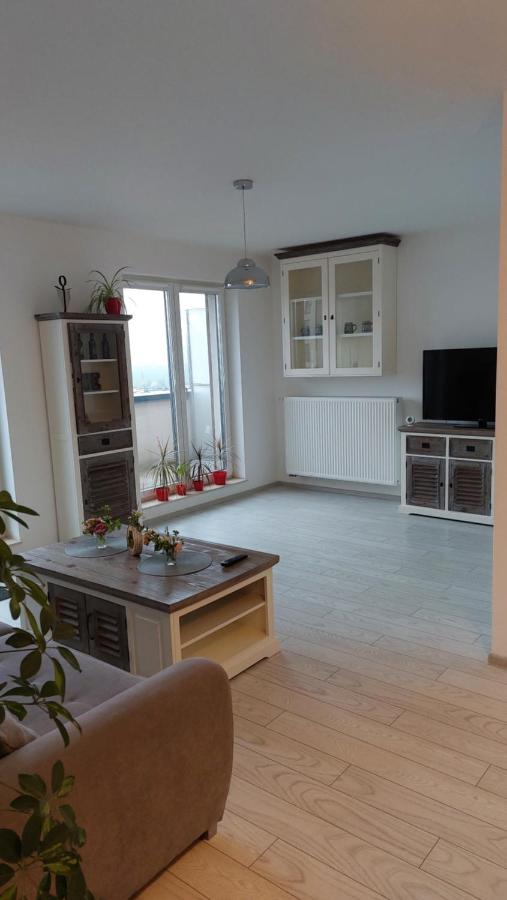 Maurer Loft Daire Târgu-Mureş Dış mekan fotoğraf